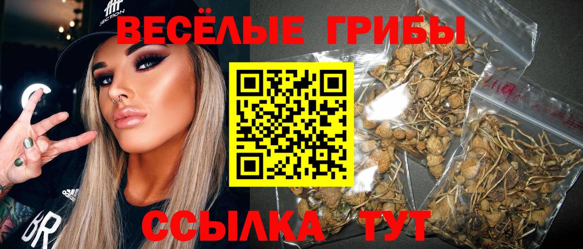 Иваново  Псилоцибиновые грибы Magic Shrooms  купить   Псилоцибиновые грибы ЛСД  Вход с VPN 